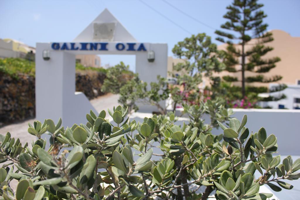 الشقق الفندقية Unique Galini Oia - Adults Only المظهر الخارجي الصورة